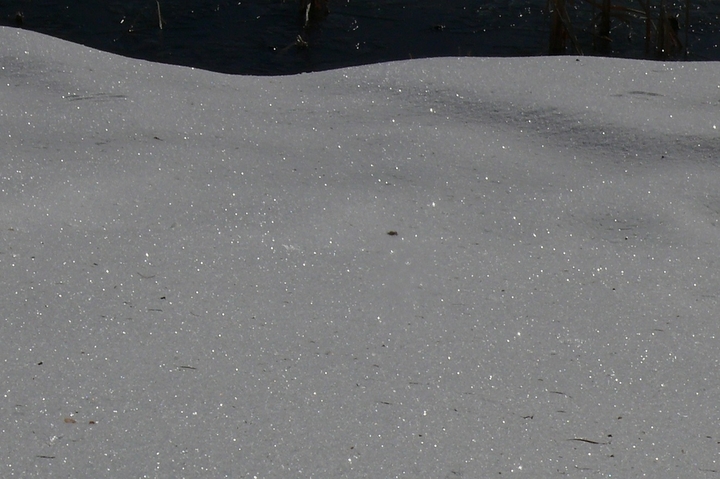 P1400128.JPG