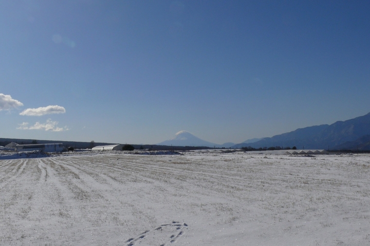 P1400400.JPG