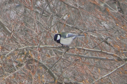P1400434.JPG