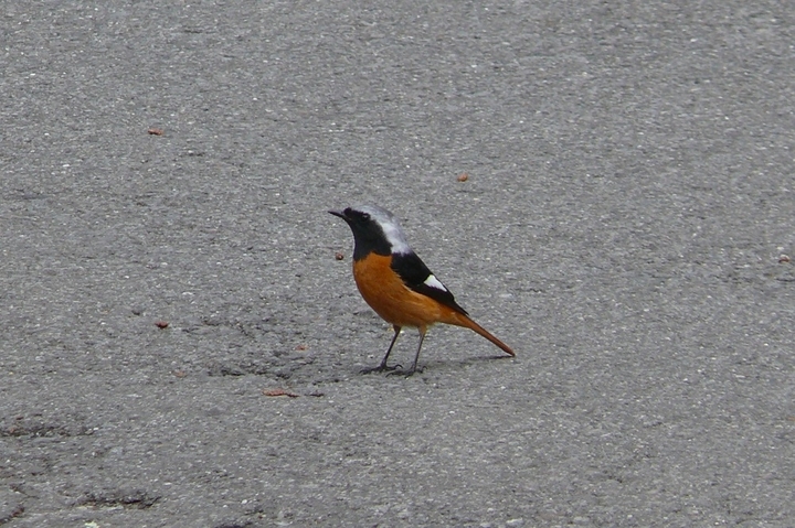 P1410139.JPG