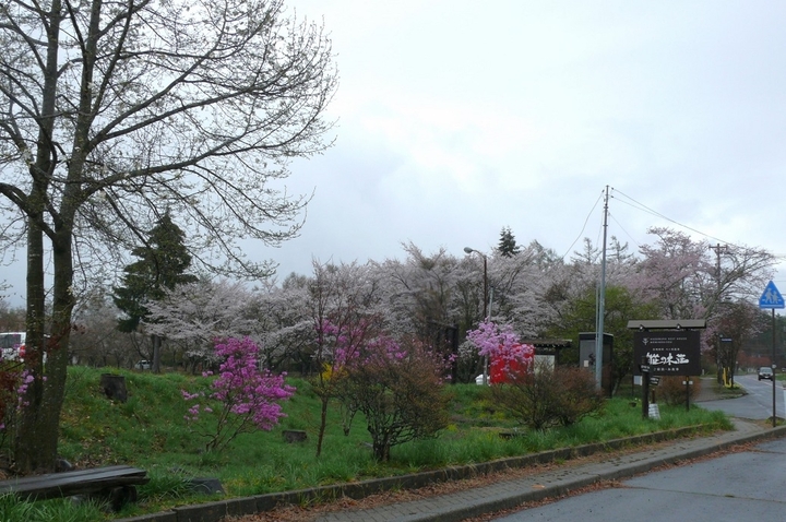 P1410194.JPG