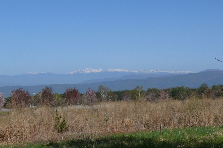 P1410342.JPG