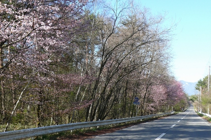 P1410346.JPG