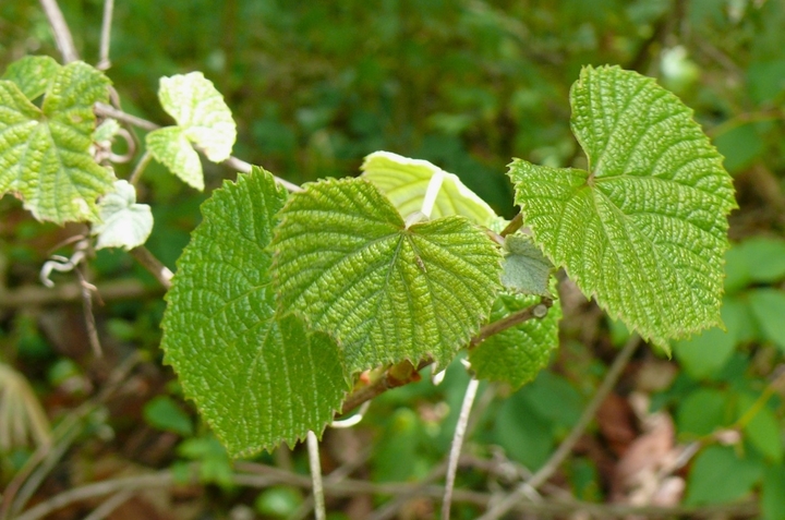 P1420196.JPG
