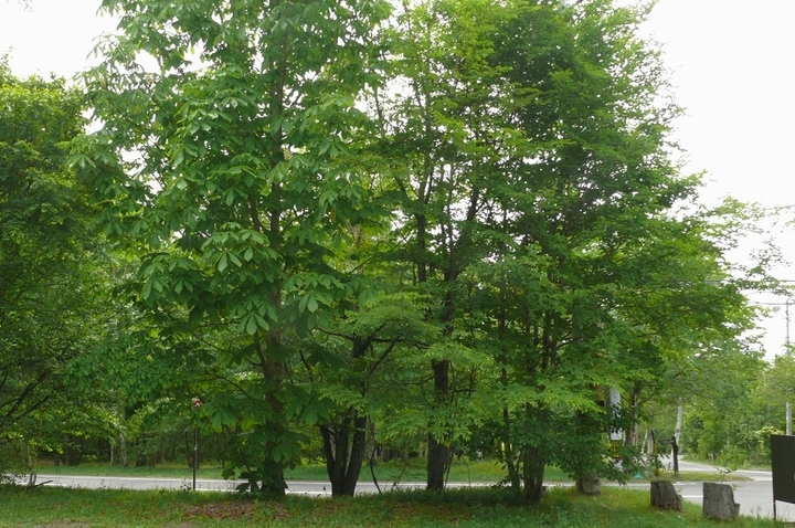 P1420664.JPG