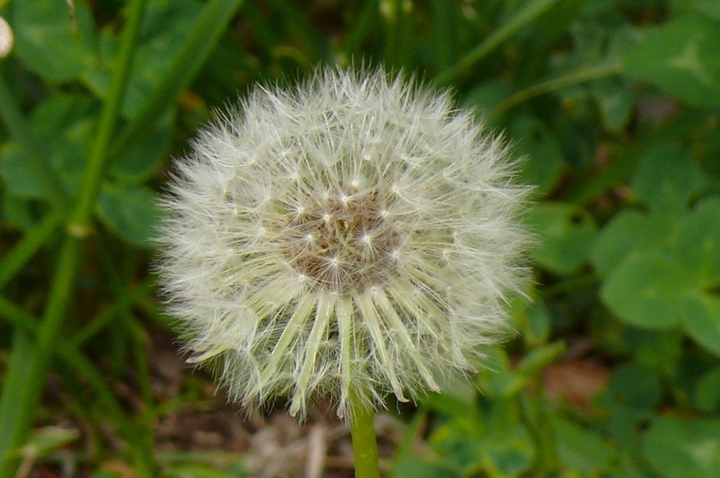 P1420199.JPG