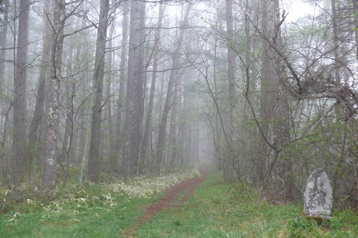 P1410434.JPG