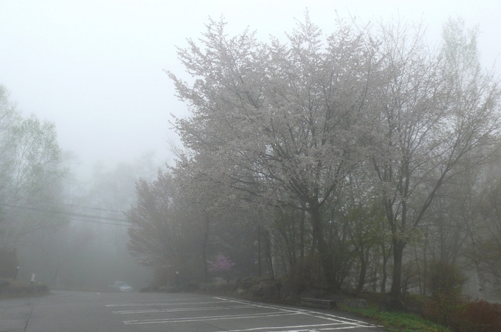 P1410436.JPG