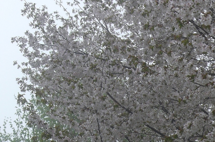P1410437.JPG