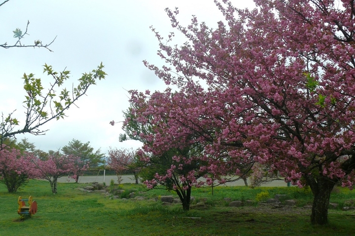 P1410443.JPG
