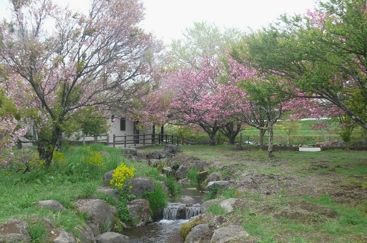 P1410447.JPG
