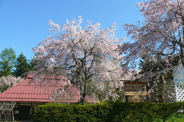 P1410470.JPG