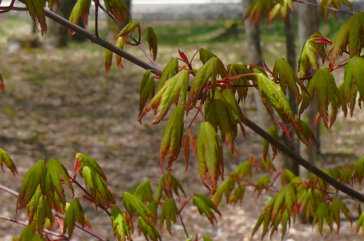 P1410500.JPG