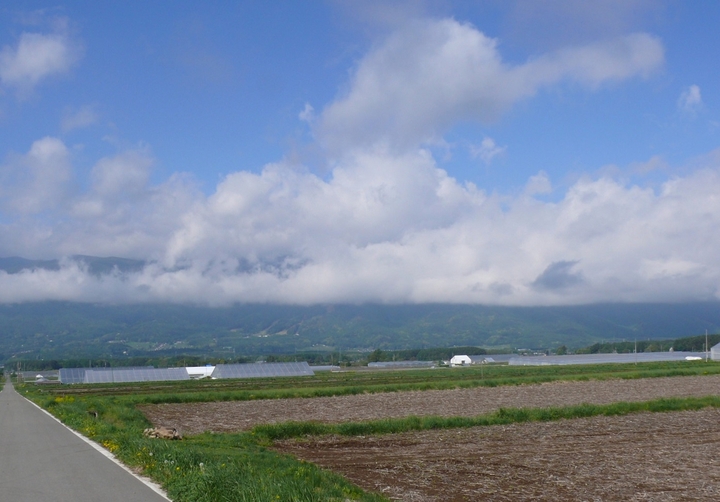 P1410735.JPG