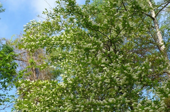 P1410743.JPG