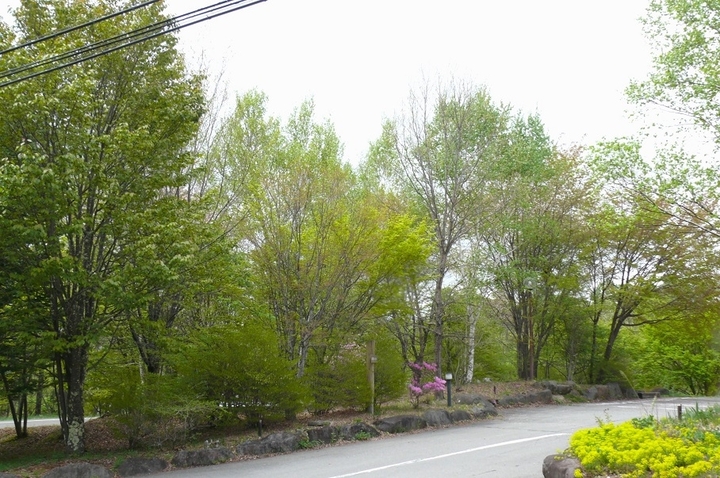 P1410751.JPG
