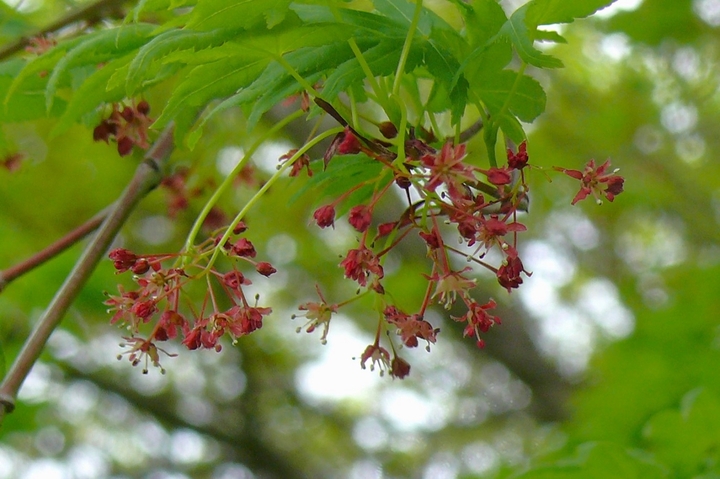 P1410753.JPG