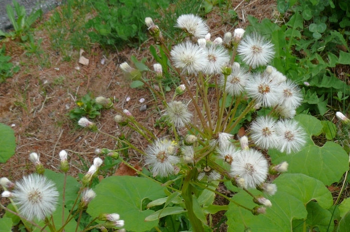 P1410755.JPG