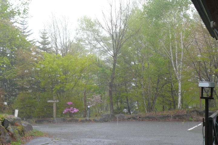 P1410778.JPG