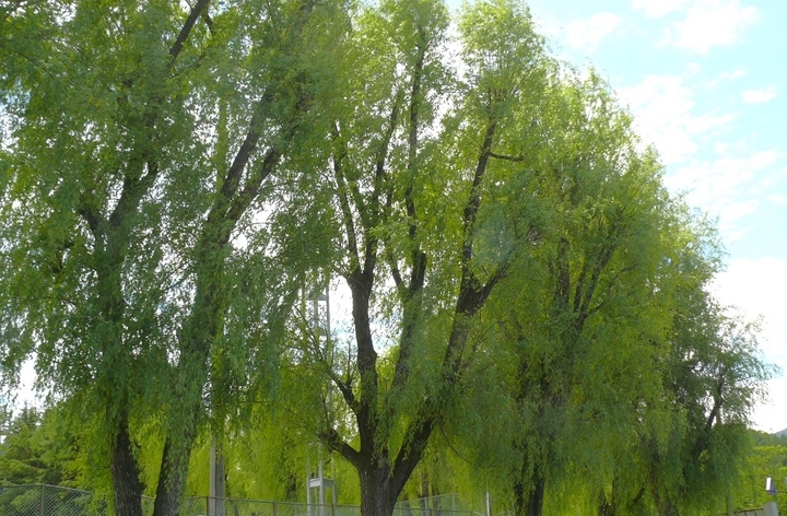 P1410842.JPG