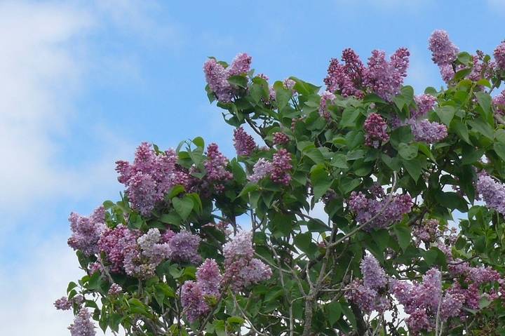 P1410846.JPG