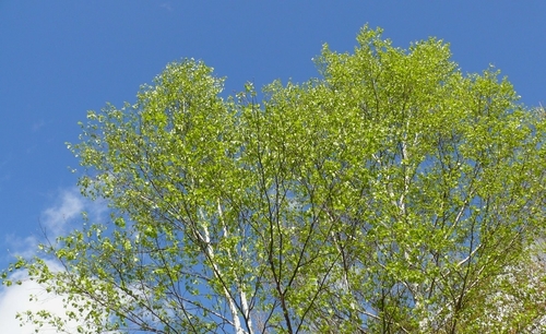 P1410849.JPG