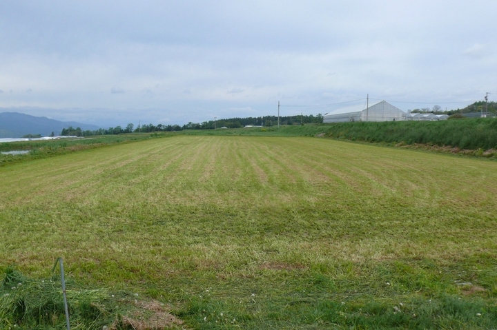 P1410855.JPG