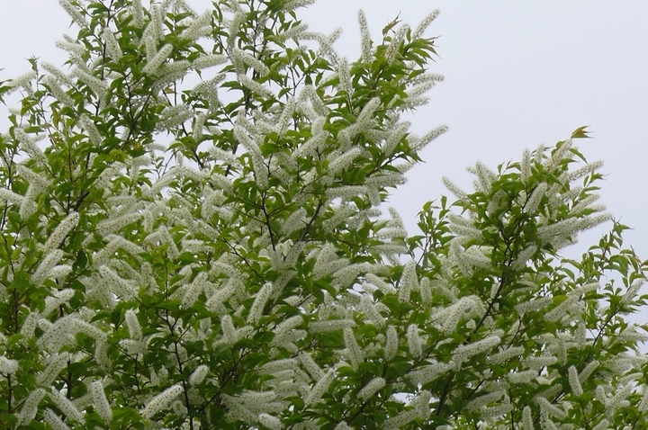 P1410866.JPG