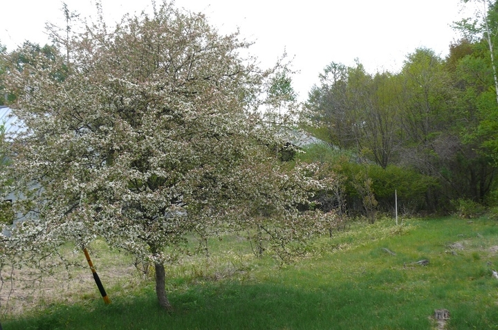P1410873.JPG