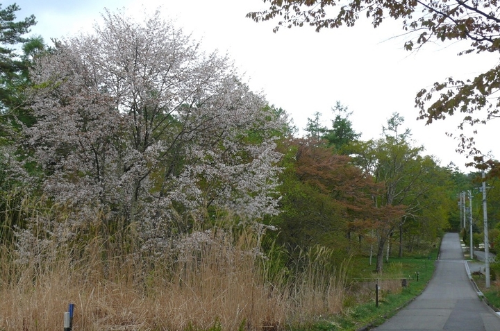 P1410890.JPG