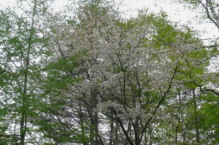 P1410894.JPG