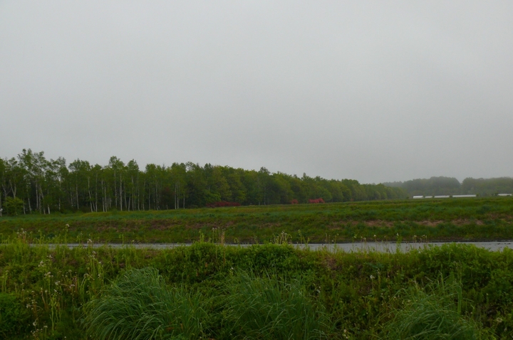 P1410916.JPG