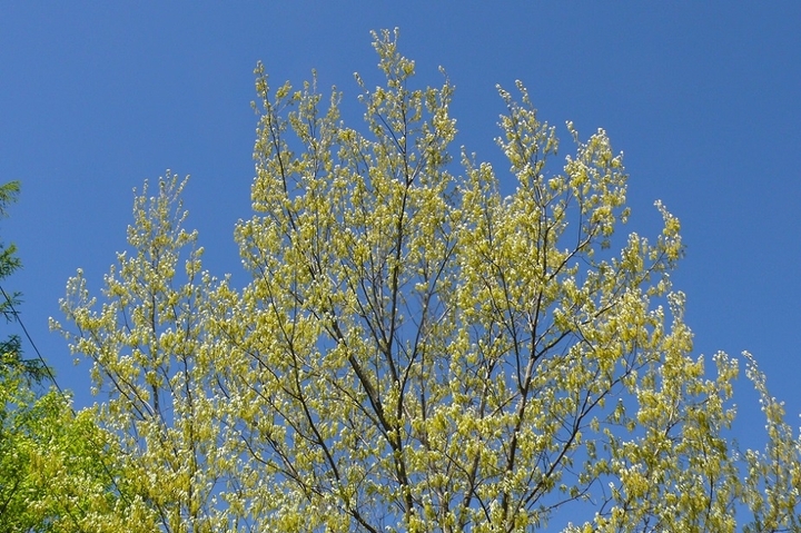 P1410971.JPG