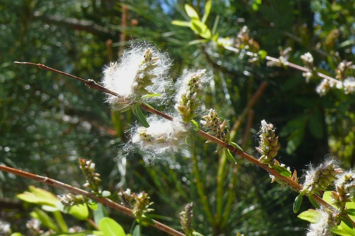 P1420020.JPG