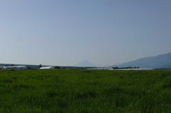 P1420025.JPG