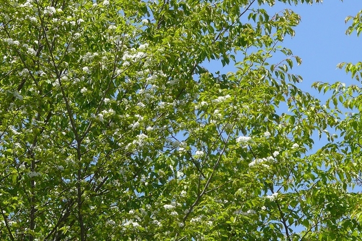 P1420045.JPG