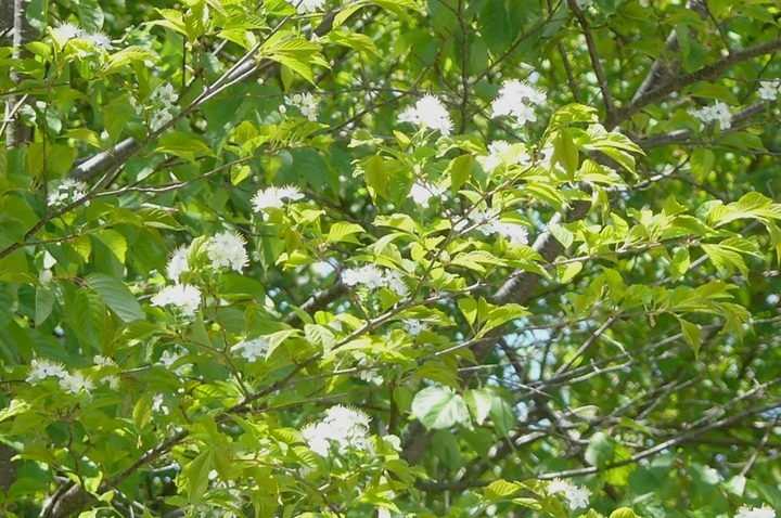 P1420046.JPG