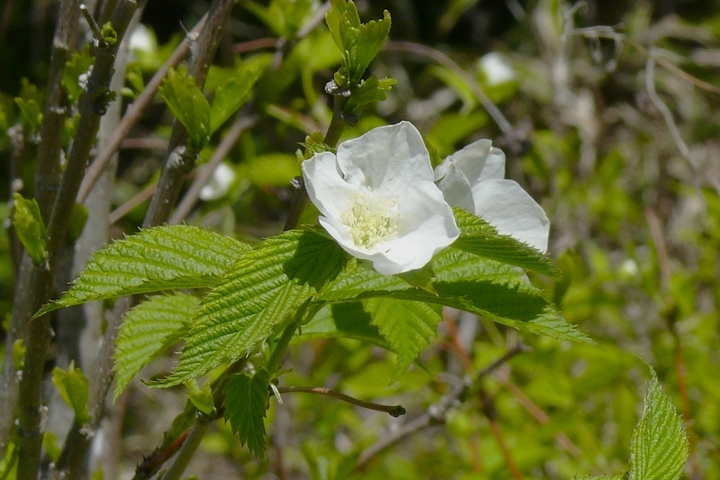 P1420110.JPG