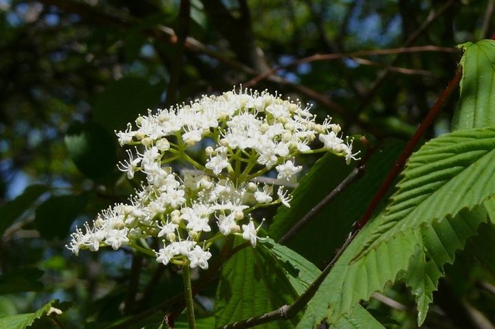 P1420117.JPG
