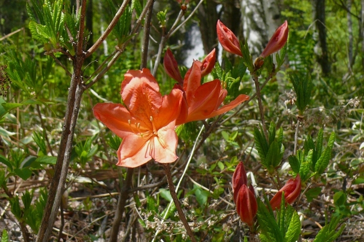 P1420120.JPG
