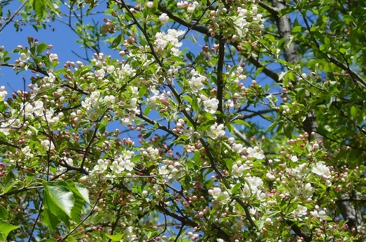 P1420125.JPG