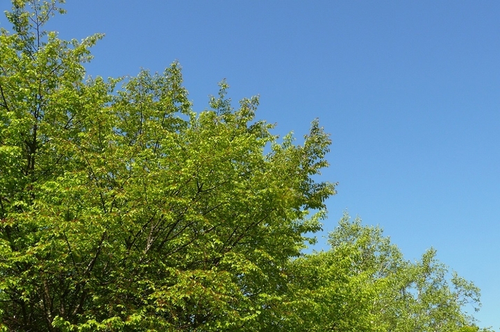 P1420165.JPG