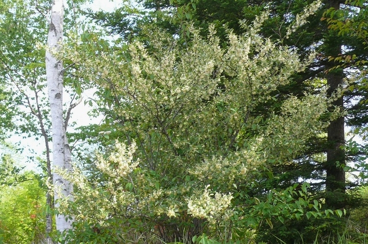 P1420227.JPG