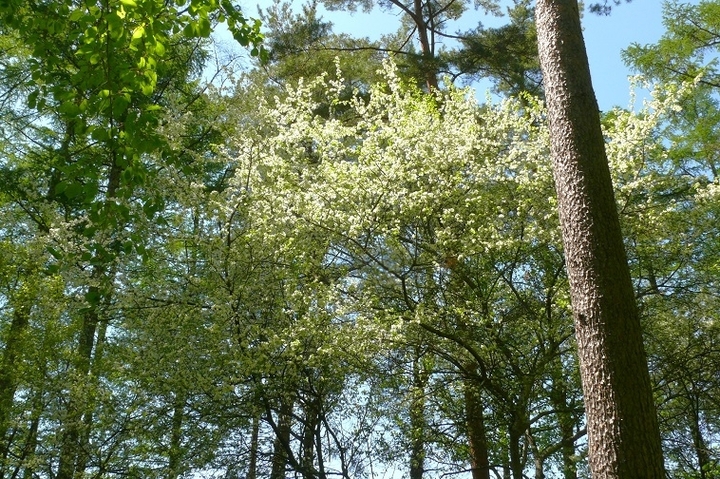 P1420256.JPG