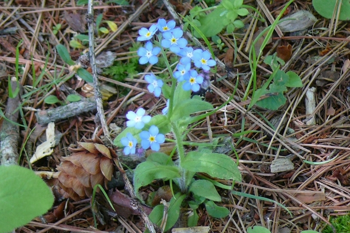 P1420259.JPG