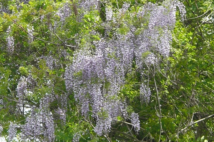 P1420291.JPG