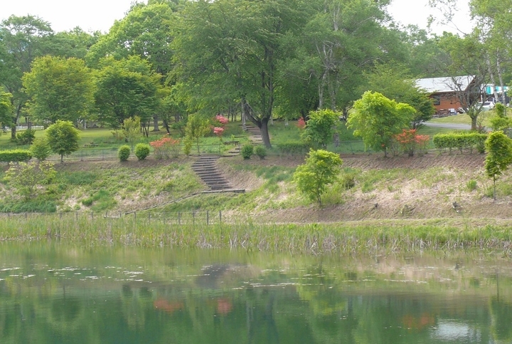 P1420337.JPG