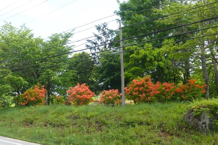 P1420513.JPG