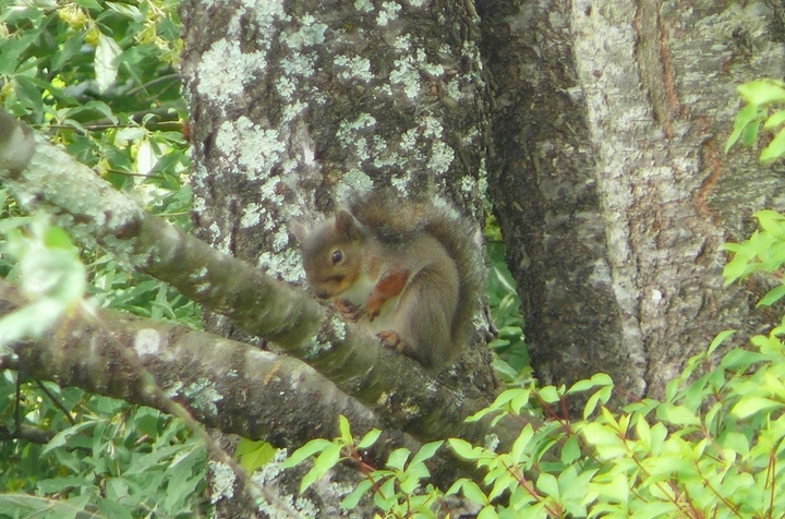 P1420549.JPG