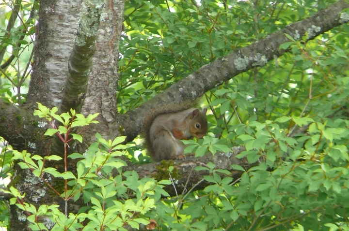 P1420551.JPG